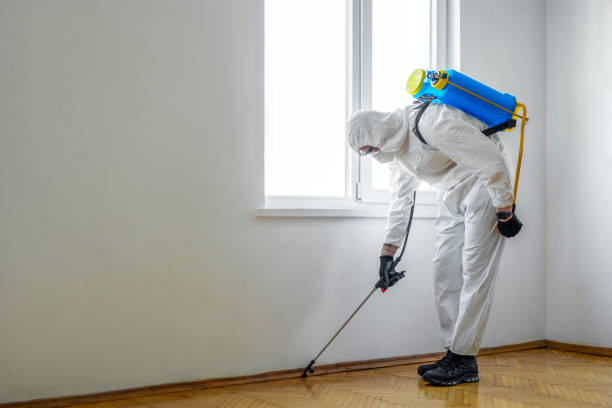 Pest Prevention Services in Lancaster, OH