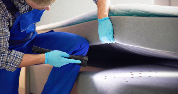 Best Pest Removal Services  in Lancaster, OH