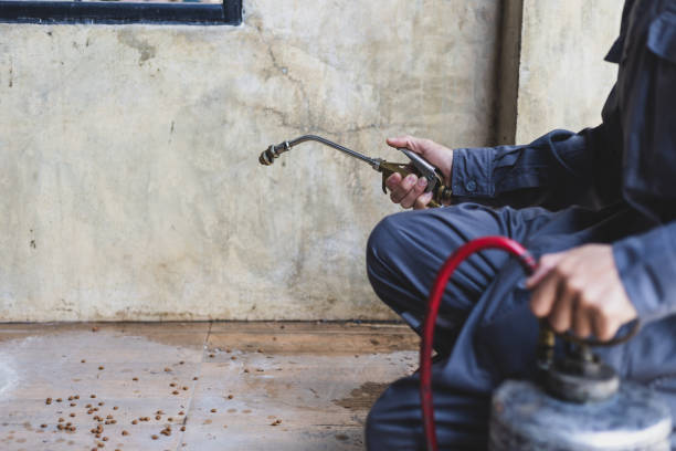 Best Best Pest Control Companies  in Lancaster, OH